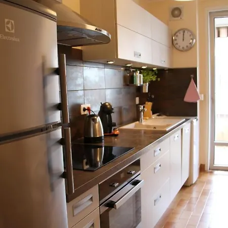 Au Lion D'or Apartment Le Puy-en-Velay