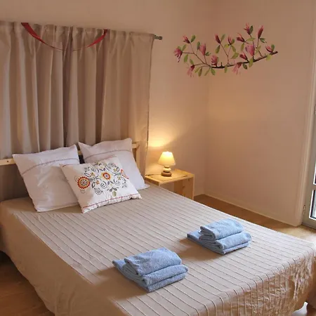 Au Lion D'or Apartamento Le Puy-en-Velay